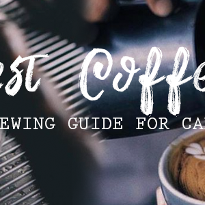 The Master Coffee & Espresso Grinding Guide For Cafes - Barista Warehouse