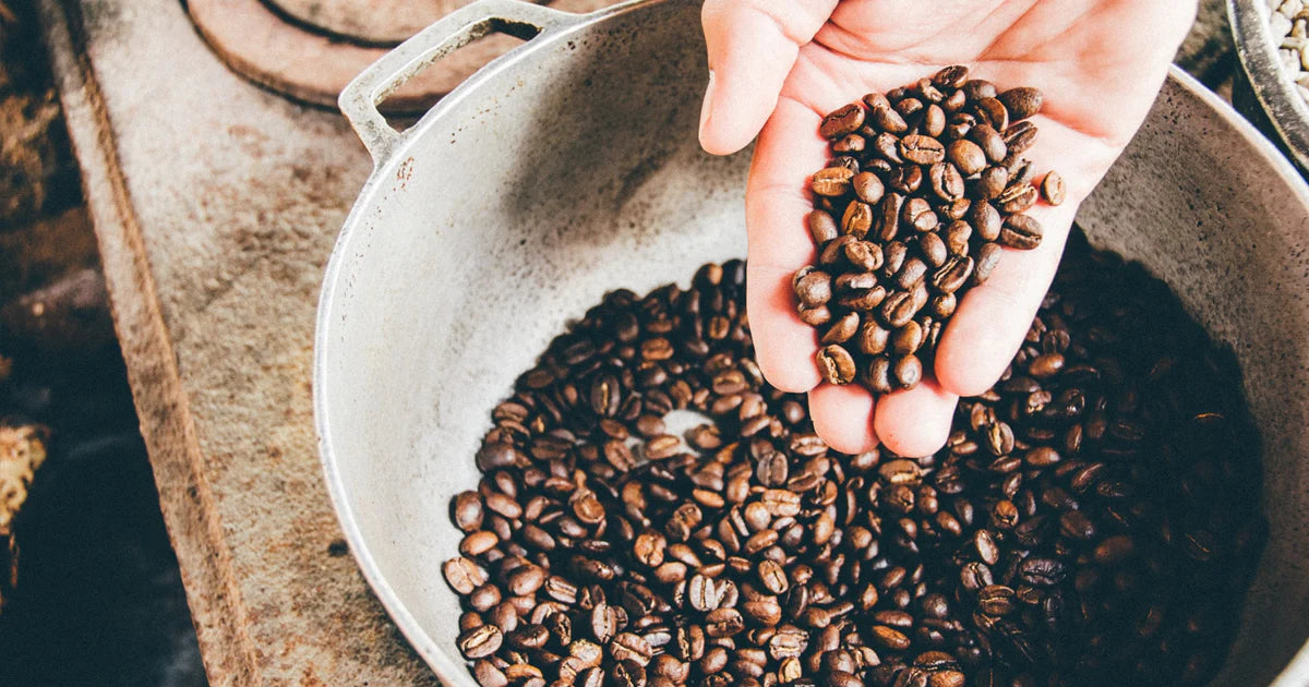 Coffee Roasting