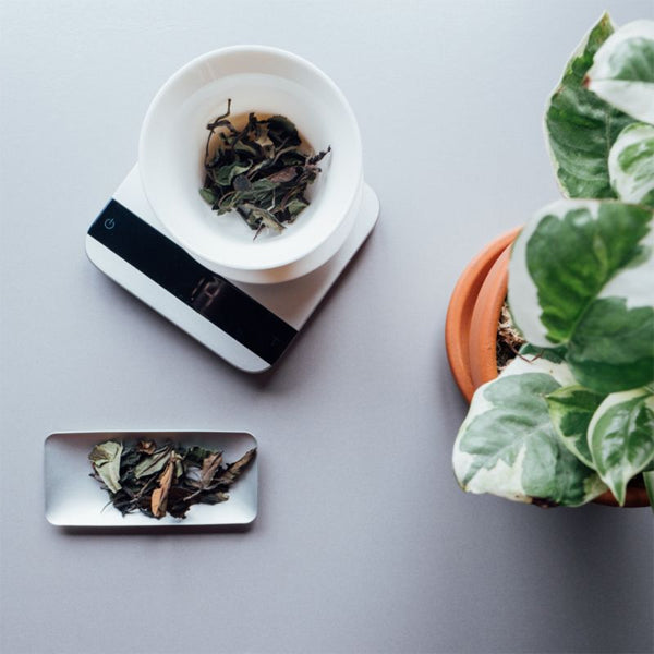 Acaia Tea Scoop anodised aluminium design for accurate loose leaf tea measurement