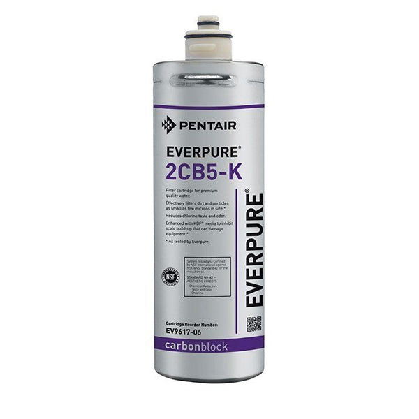 Everpure 2CB5-K Replacement Filter