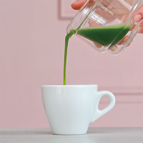 Hario Matcha Collection Set