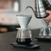 Hario V60 Barista Server Brewing