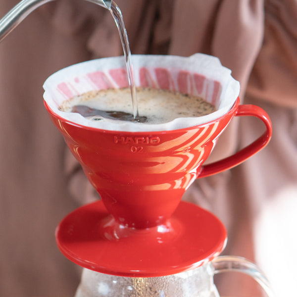 Hario V60 Plastic Dripper