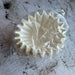 Origami filter paper set for pour over coffee brewing with Origami dripper