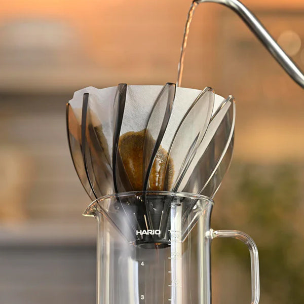 Hario V60 Suiren Dripper Brewing