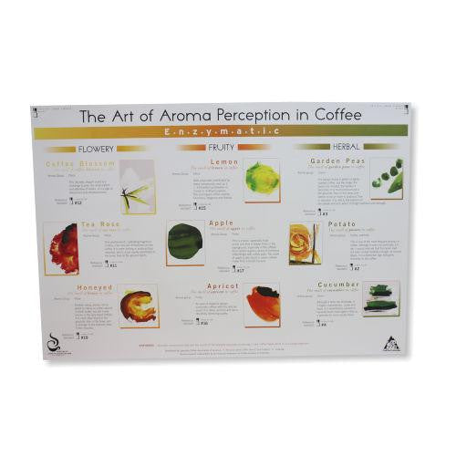 Art Of Aroma Enzymatic Poster - SCAA, Educational Resources, SCAA - Barista Warehouse