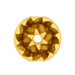 Varia VS3 38mm Burrs Supernova Gold Titanium